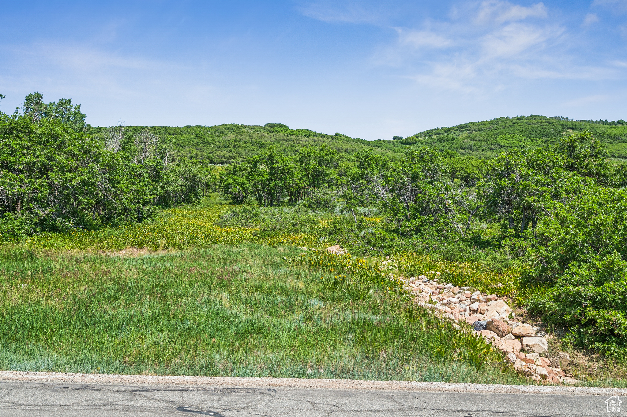 THE PRESERVE - Land