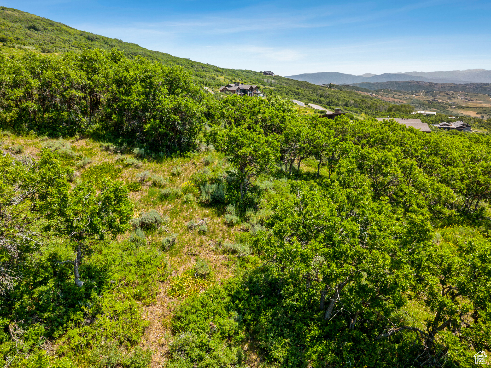 THE PRESERVE - Land