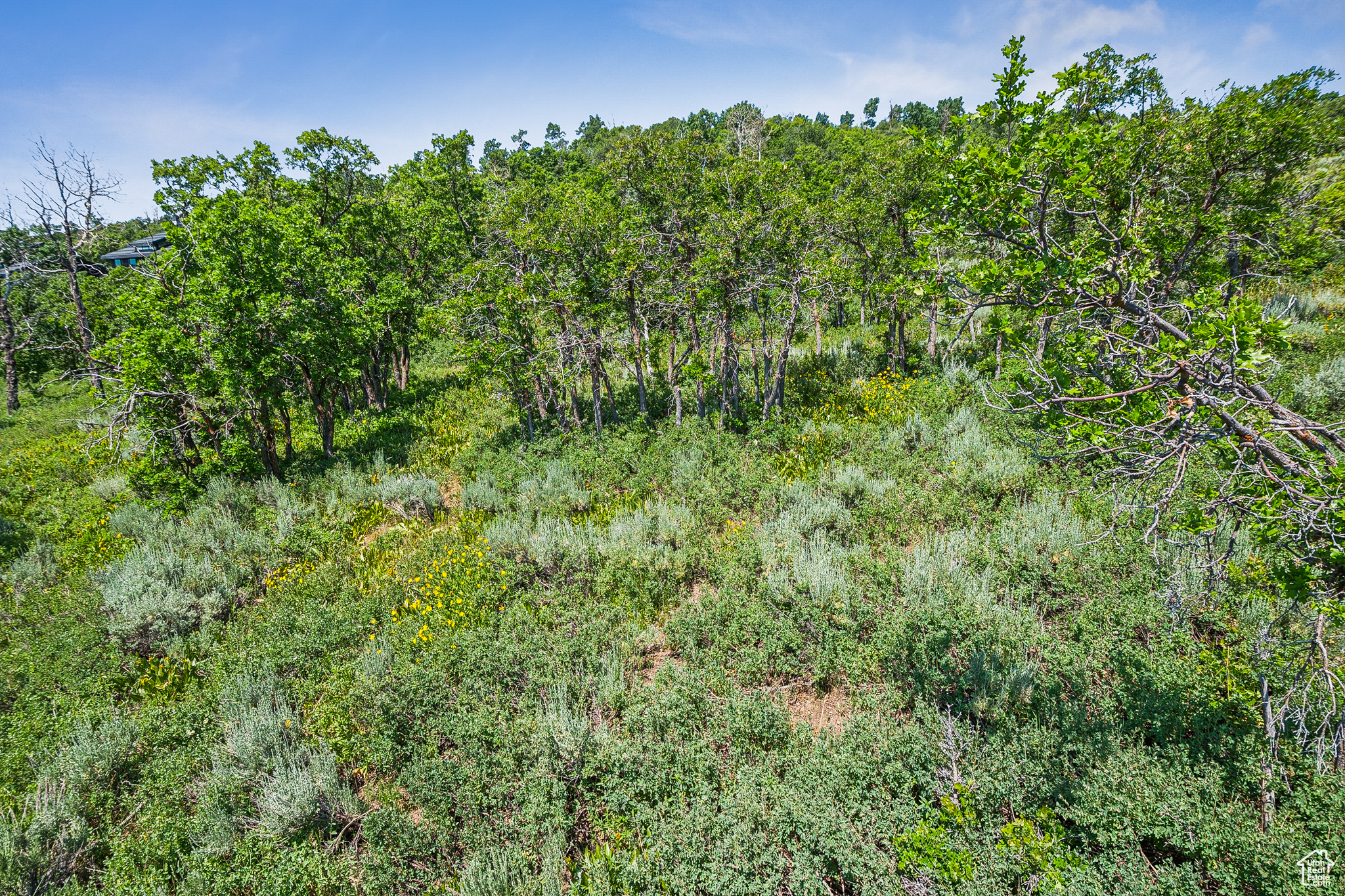THE PRESERVE - Land