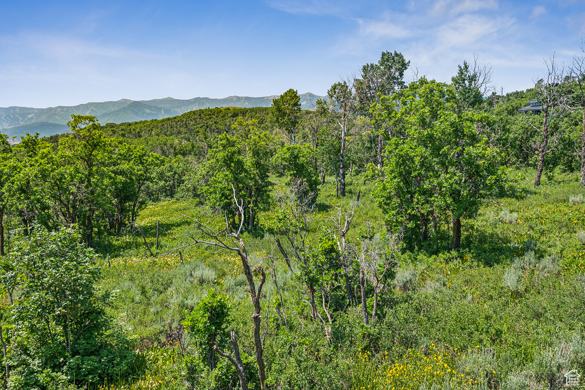 THE PRESERVE - Land