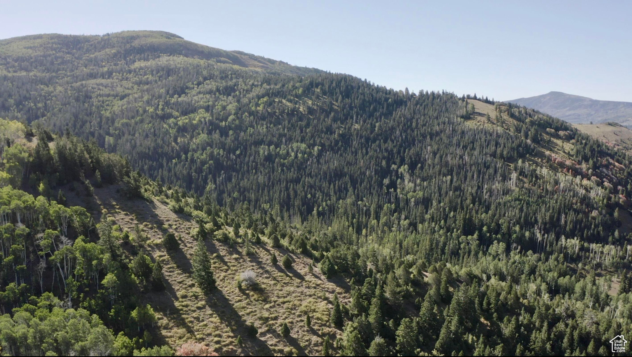 Land, Brian Head, Utah image 14