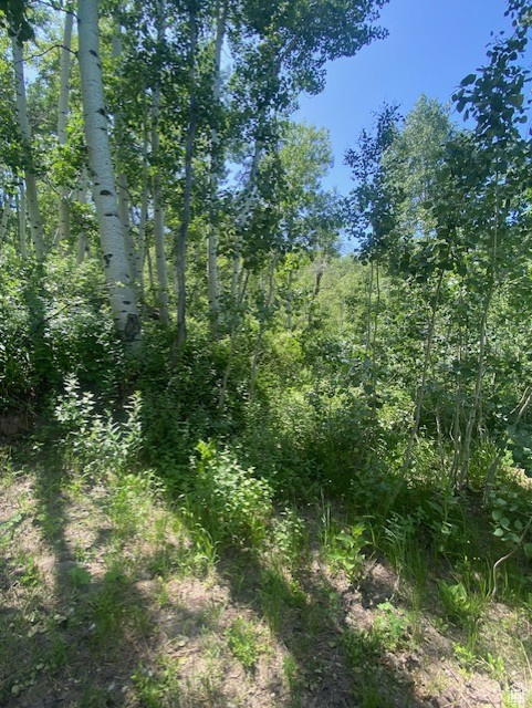 TOLLGATE CANYON - Residential
