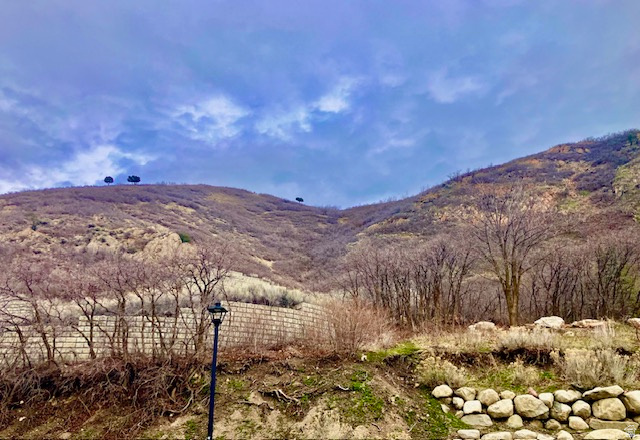 PRESIDENTIAL CLUB - Residential