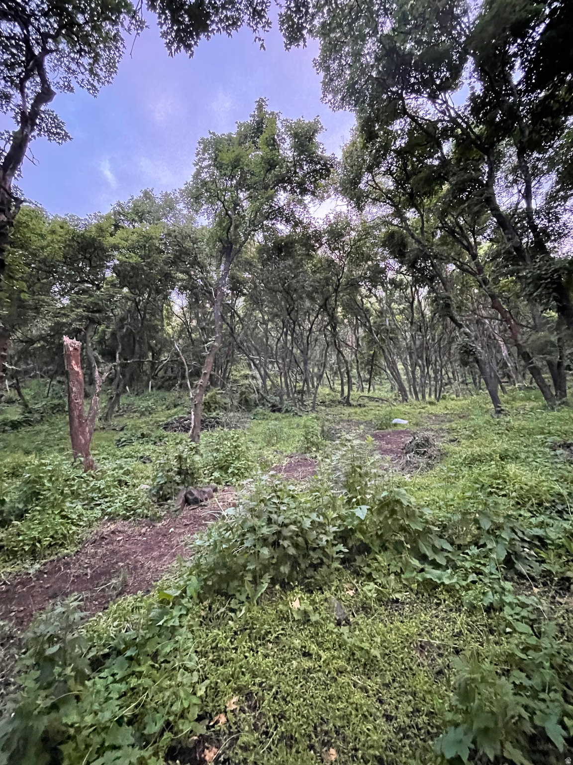 MOUNT STERLING - Residential