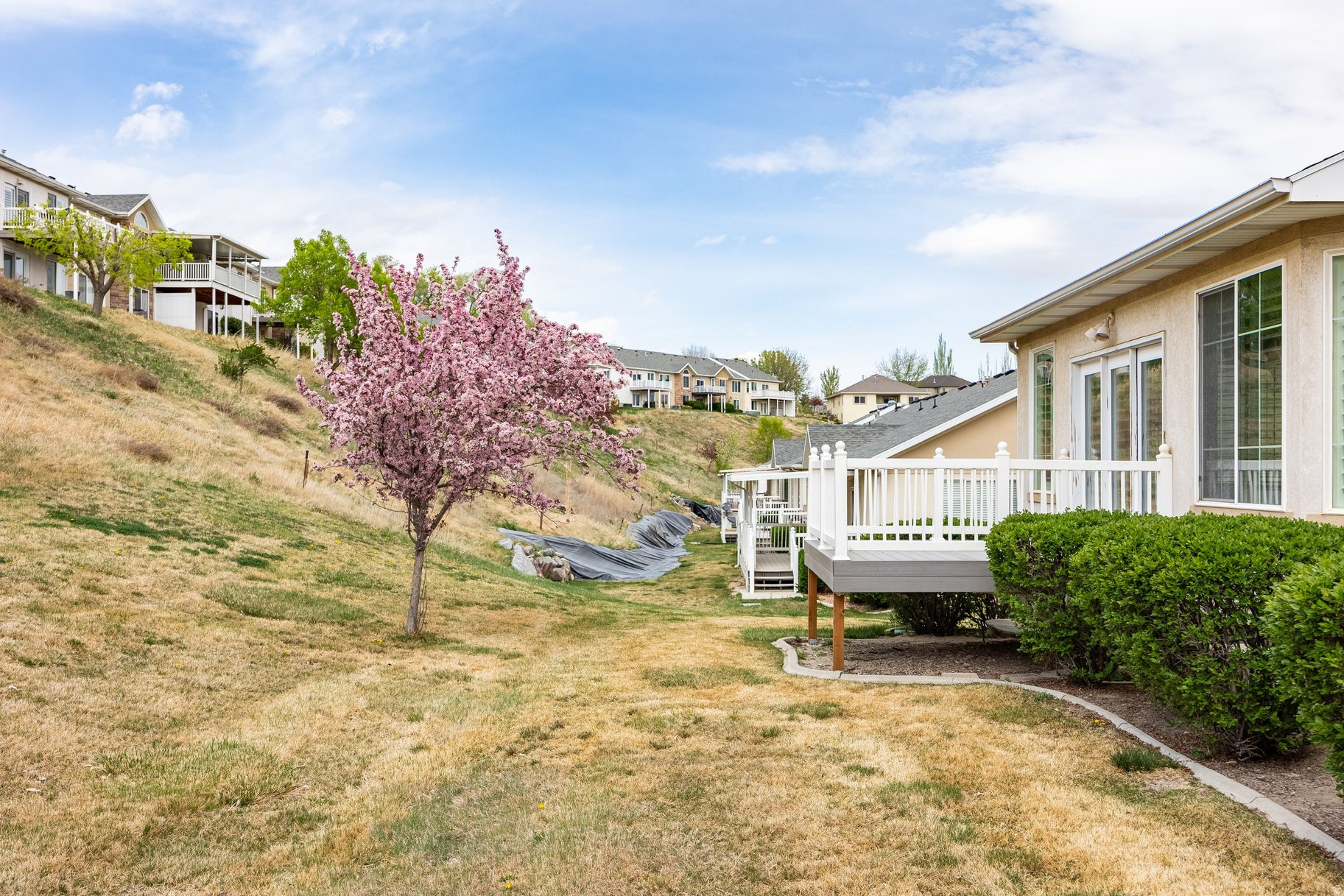 TITHING POINT - Residential