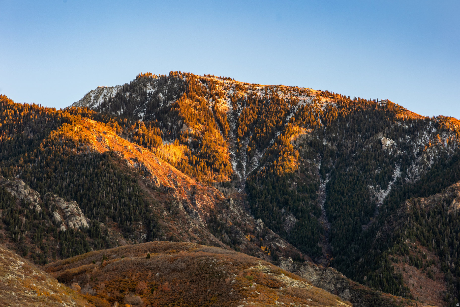 CARDIFF ESTATES SUB - Residential