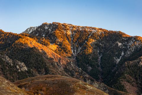 Tiny photo for 3149 E 10000 S, Sandy, UT 84092 (MLS # 2123698)