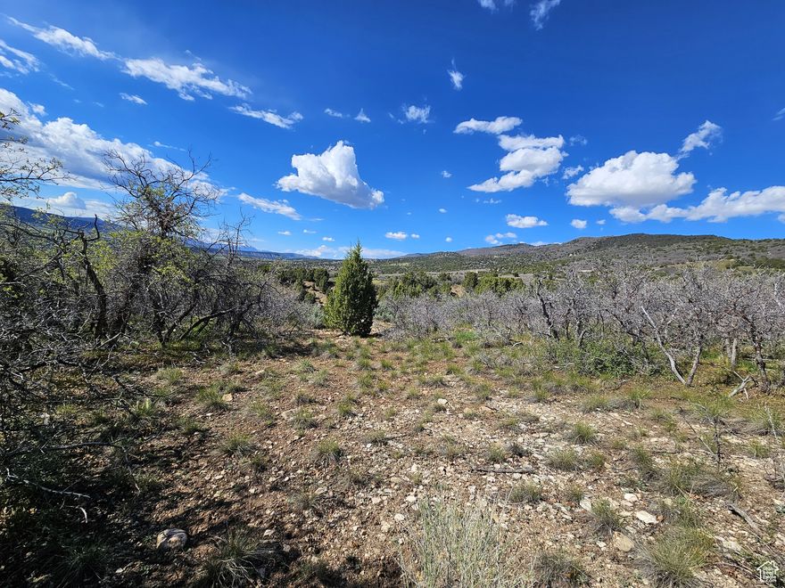 Mountain view lot with a stream at the bottom of the hill and year round access and ready to use today! Water is connected, power is available on the lot. Less than a half mile from the gated entrance. Wildlife included for free. Bring your trailer or build a cabin or both on your own mountain property today and really take advantage of all that mountain life has to offer. Come enjoy the cool crisp mountain air as you get away from it all. Resort amenities include pavilions for gatherings, pickle ball, tennis, swimming pool, golf course and much more! Each lot owner receives a free $60 punch-pass per year plus member pricing. Nearby you will find lakes, camping, four-wheeling, hiking, fishing, hunting, rock climbing, snowmobiling, snow shoeing and other outdoor activities. The Manti-LaSal National Forest and Skyline Drive Trail System are only minutes away. Close by, in town, you have a grocery store, hardware store with a lumber yard, hospital, pharmacy, restaurants, even a drive-in theater. Sewer would be septic, gas would be propane. Google Map/Earth is 39.60687, -111.40481 Elevation is 6,413. Buyer to verify all information.
