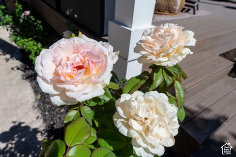 Tiny photo for 1440 E BRYAN AVE, Salt Lake City, UT 84105 (MLS # 2187297)