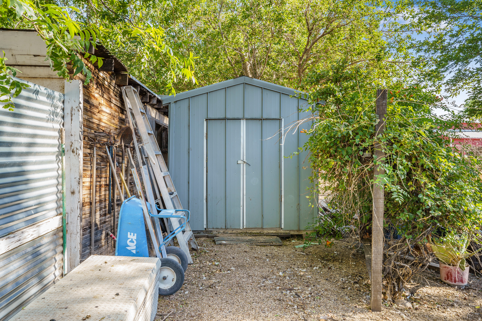 HURRICANE FIELD SURVEY - Residential