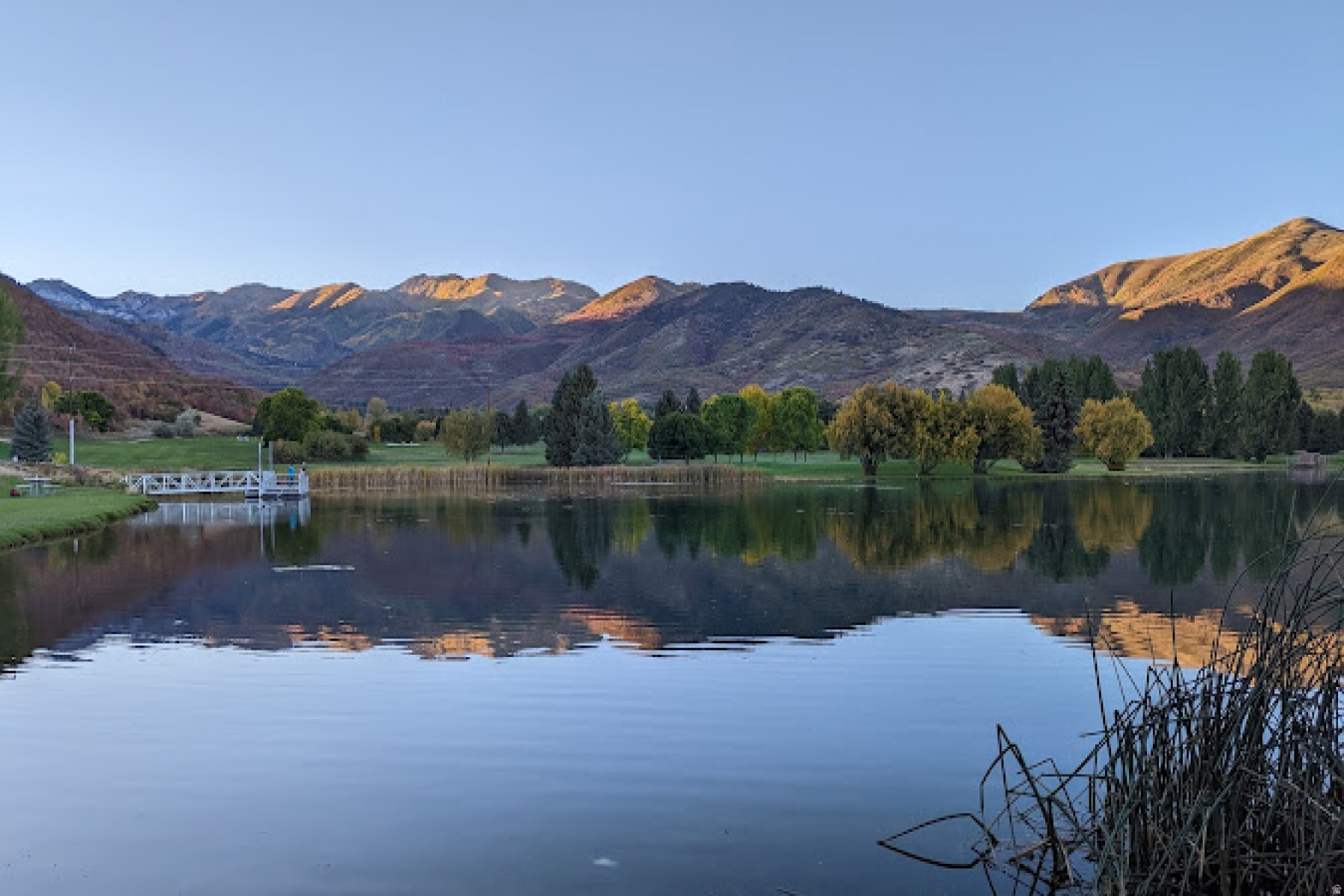 CHARLESTON - Residential