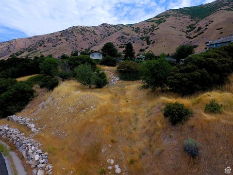 Tiny photo for 1783 SPRING OAKS DR #12 & 1, Springville, UT 84663 (MLS # 2101070)