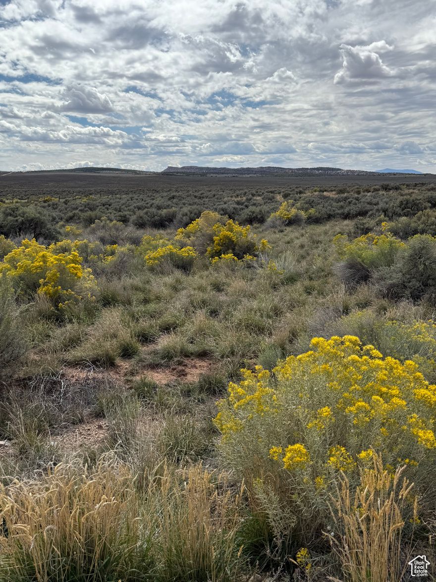 For those seeking a quiet lifestyle with easy access to outdoor recreation this is your spot! Whether you're looking to hike, bike, camp, or simply enjoy scenic drives, the area provides endless opportunities. Located just 35 minutes south of Main Street Moab. Utilities are stubbed for power and internet. 1/4 Shared well with three other lots.
