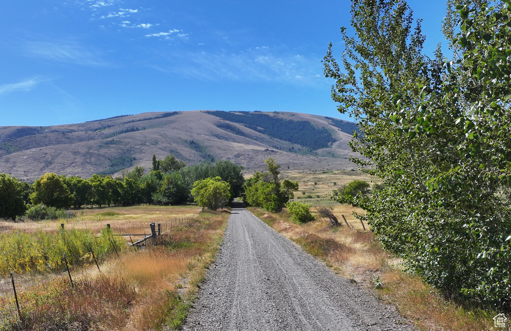 1050 S 950 Rd, Albion, Idaho image 3