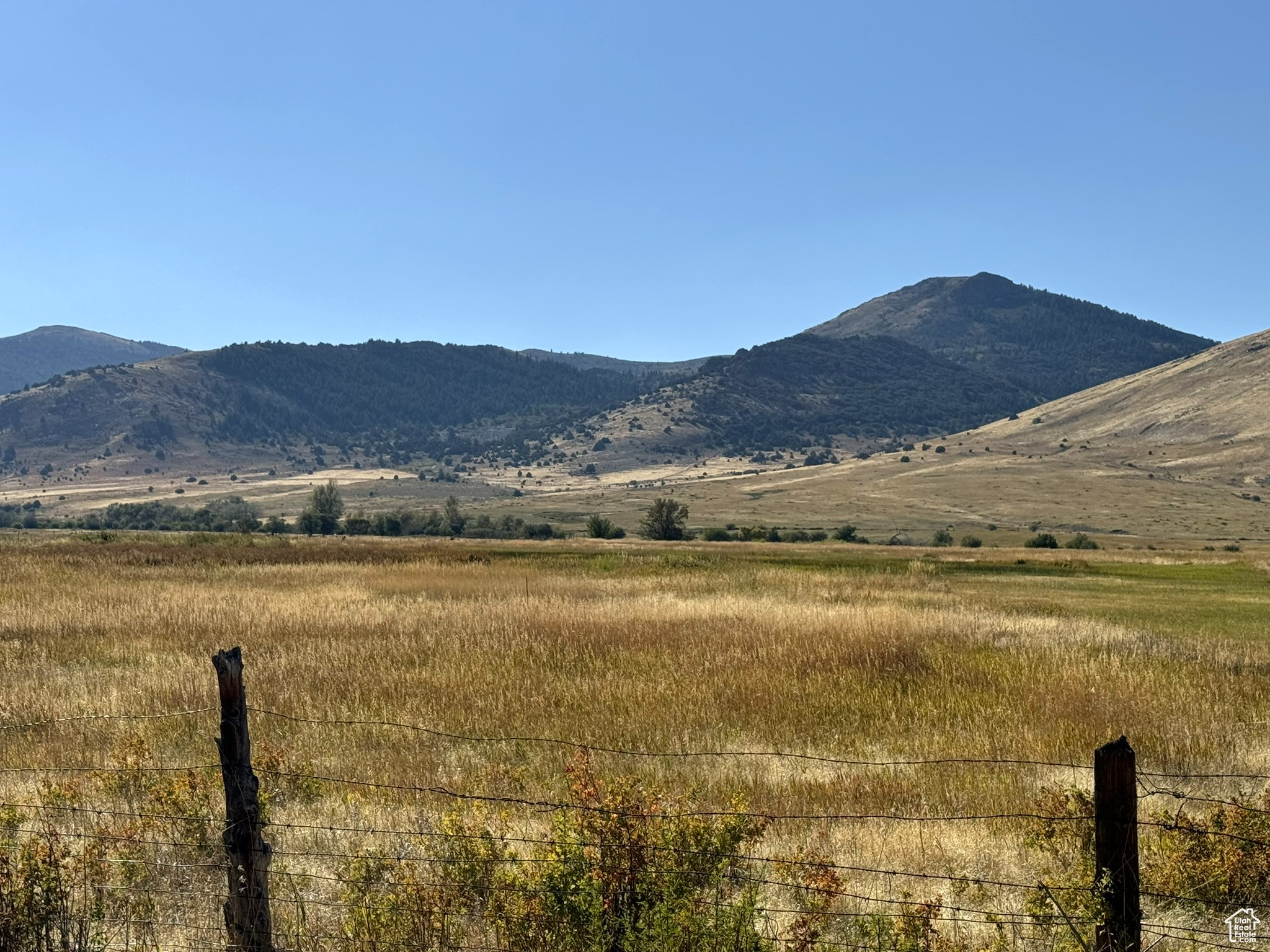 1050 S 950 Rd, Albion, Idaho image 9