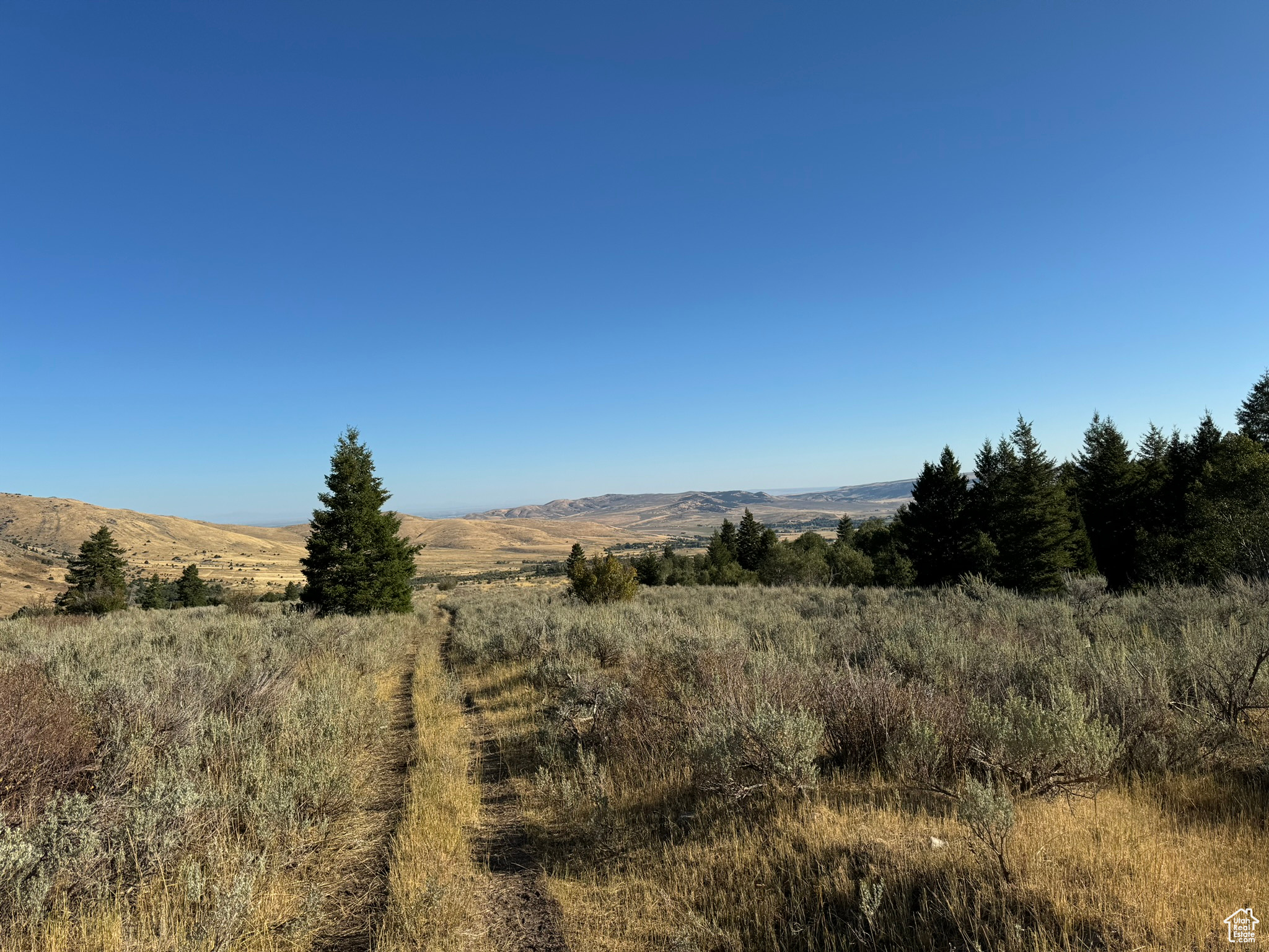 1050 S 950 Rd, Albion, Idaho image 12