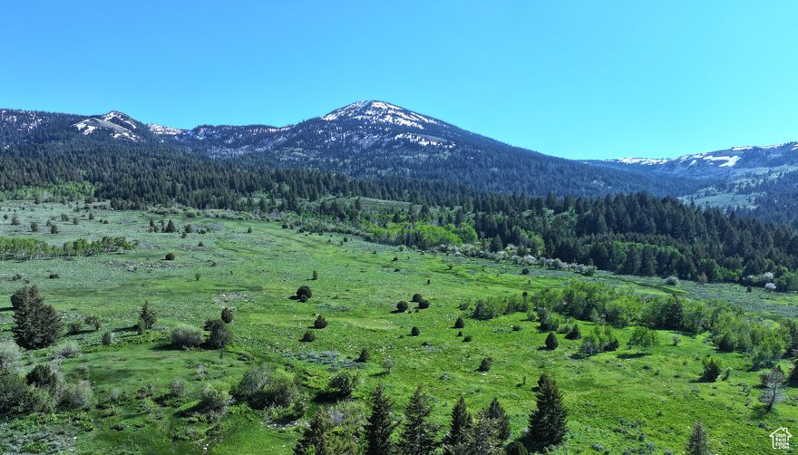 Finding a ranch that "checks all the boxes" is hard to find. The Six-S Ranch's accessibility, topography, water resources, and abundant wildlife combined with endless recreational opportunities creates a legacy purchase opportunity for the next owner. The Six-S Ranch sits in an incredible "end of the road "setting in a north facing valley.  The Albion Mountains that surround the ranch, provide a dramatic backdrop to an idyllic landscape. The ranch boasts year-round access, complete privacy and is conveniently located minutes from the town of Albion.  2 major drainages, Marsh Creek & Land Creek, plus numerous springs, run year-round on the property.  9 miles of the property's 13-mile boundary abuts the Sawtooth national forest.  The ranch is host to grazing cattle from springtime through late summer/fall.  Stock watering and irrigation rights associated with the ranch are included with the sale. Moose, Mule Deer, Elk and a variety of other mammals and raptors call Six-S home.  Due to its year-round accessibility and topography, Six-S Ranch provides endless recreational opportunities including hiking, biking, skiing, horseback riding and ATV'ing.  The property is located in Idaho's hunt unit 55 and would be an ideal spot for a hunting camp and lodge.   The ranch qualifies for hunting tags under Idaho's Landowner Appreciation program.