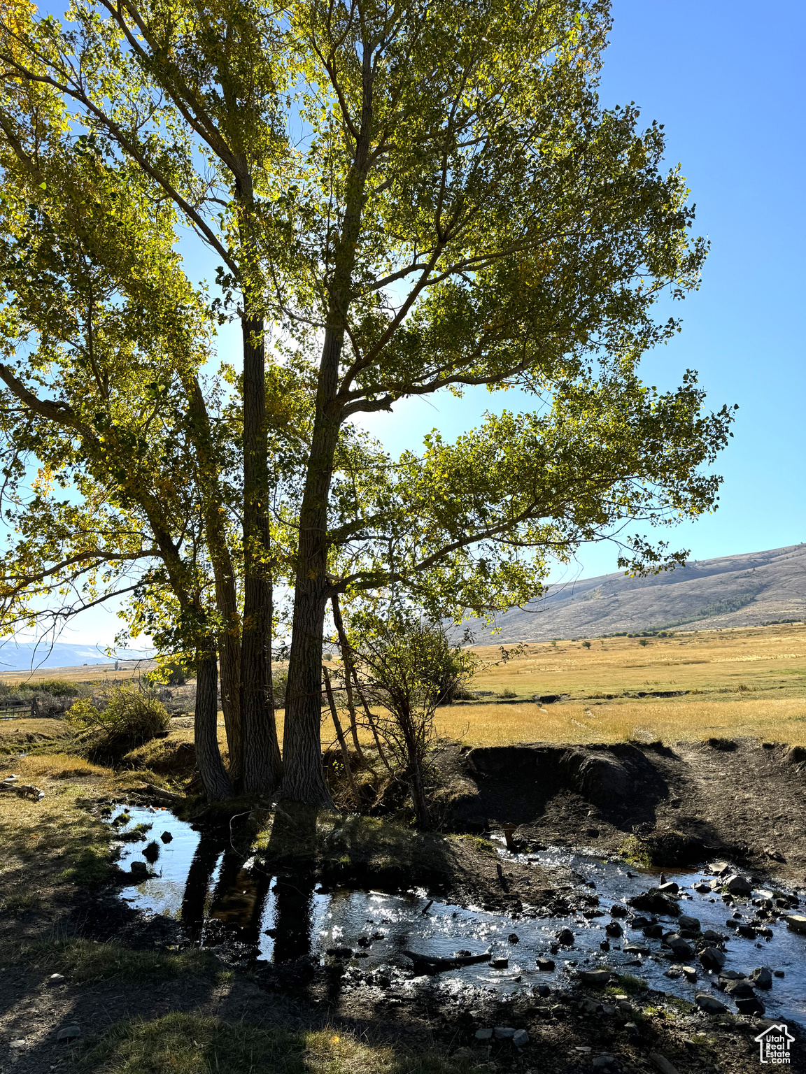 1050 S 950 Rd, Albion, Idaho image 11