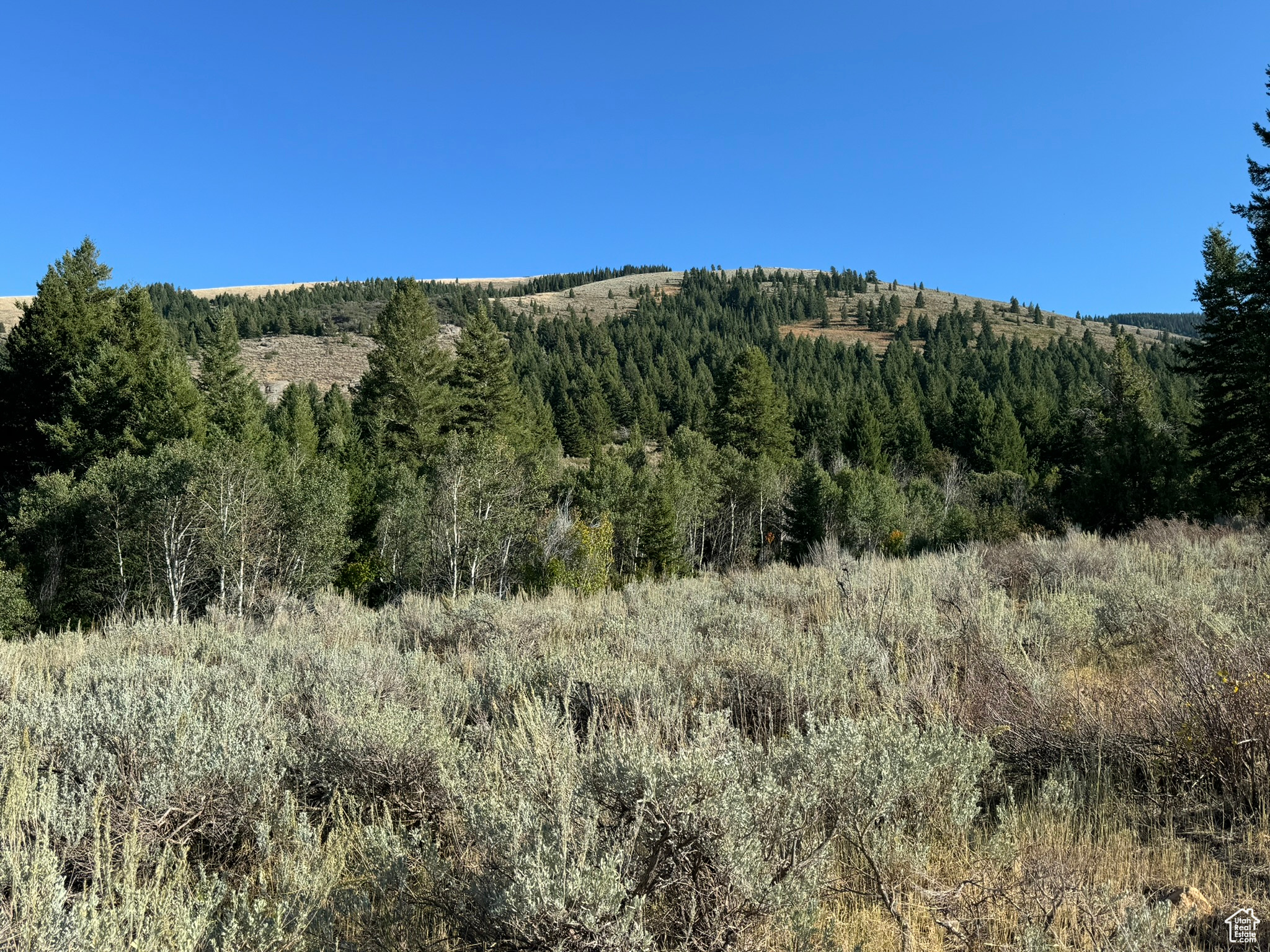 1050 S 950 Rd, Albion, Idaho image 32