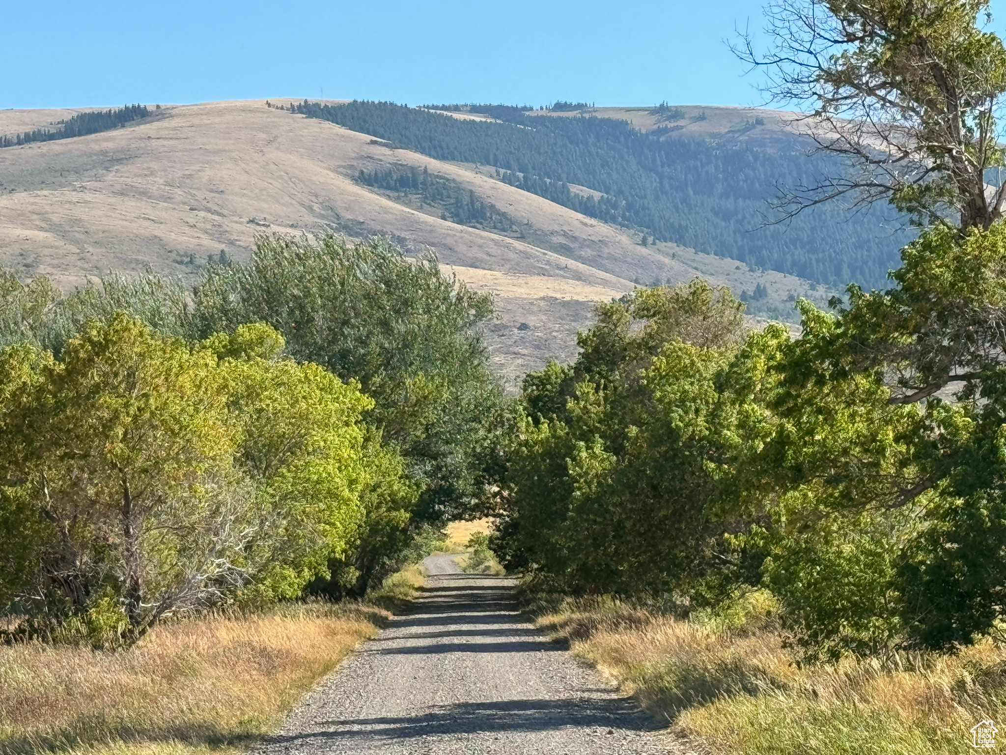 1050 S 950 Rd, Albion, Idaho image 4