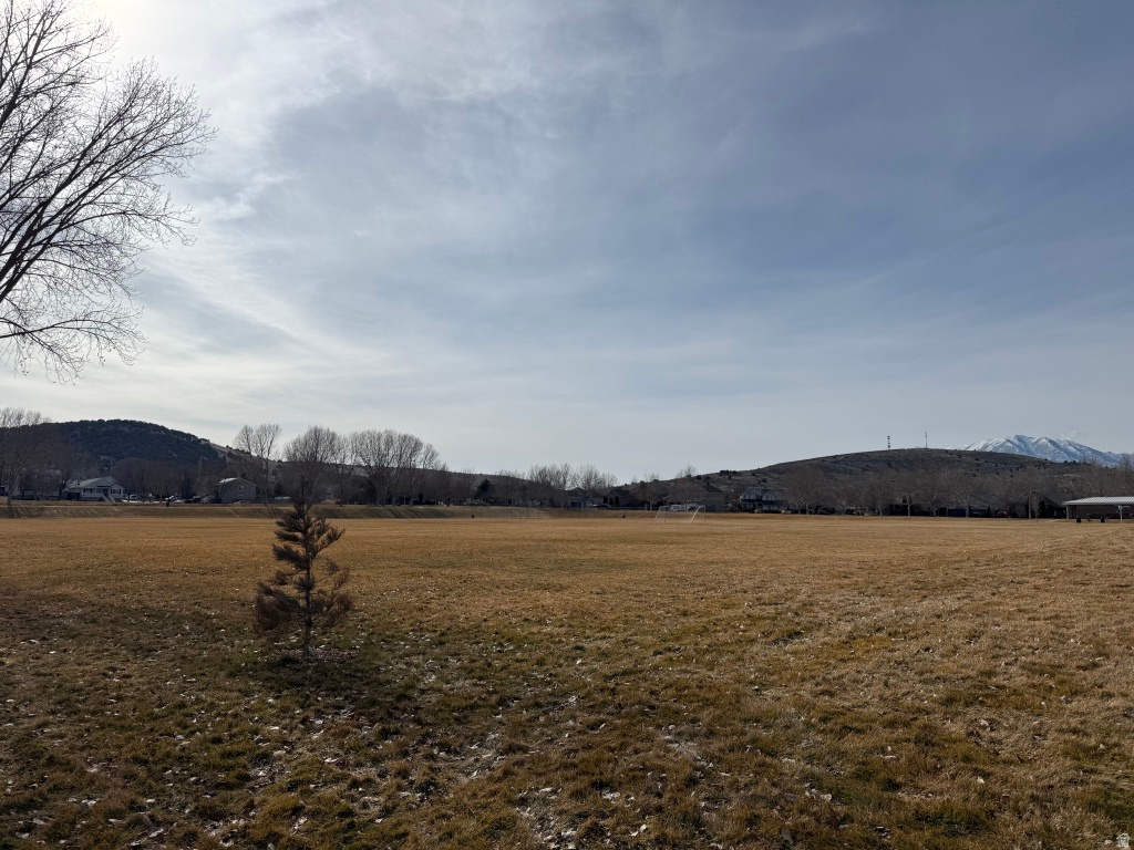 COLD SPRINGS - Residential