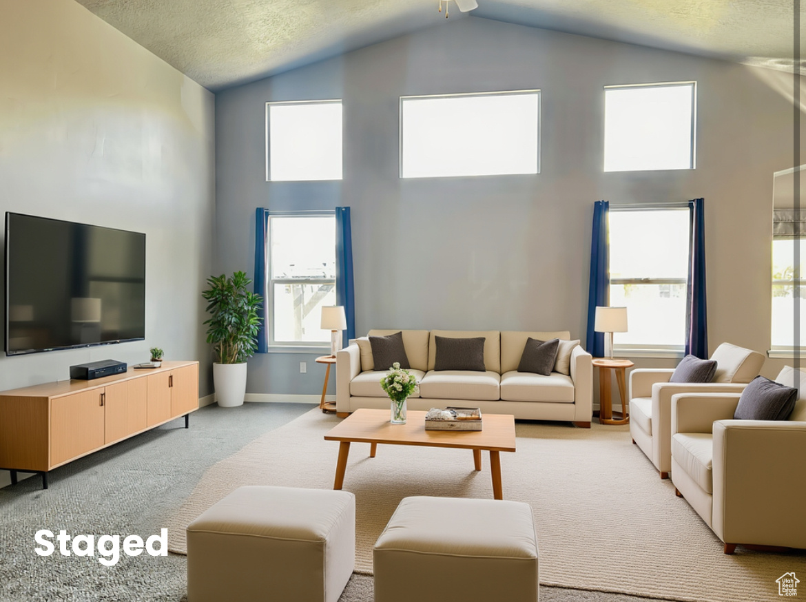 SADDLEBACK PASTURES LLC - Residential