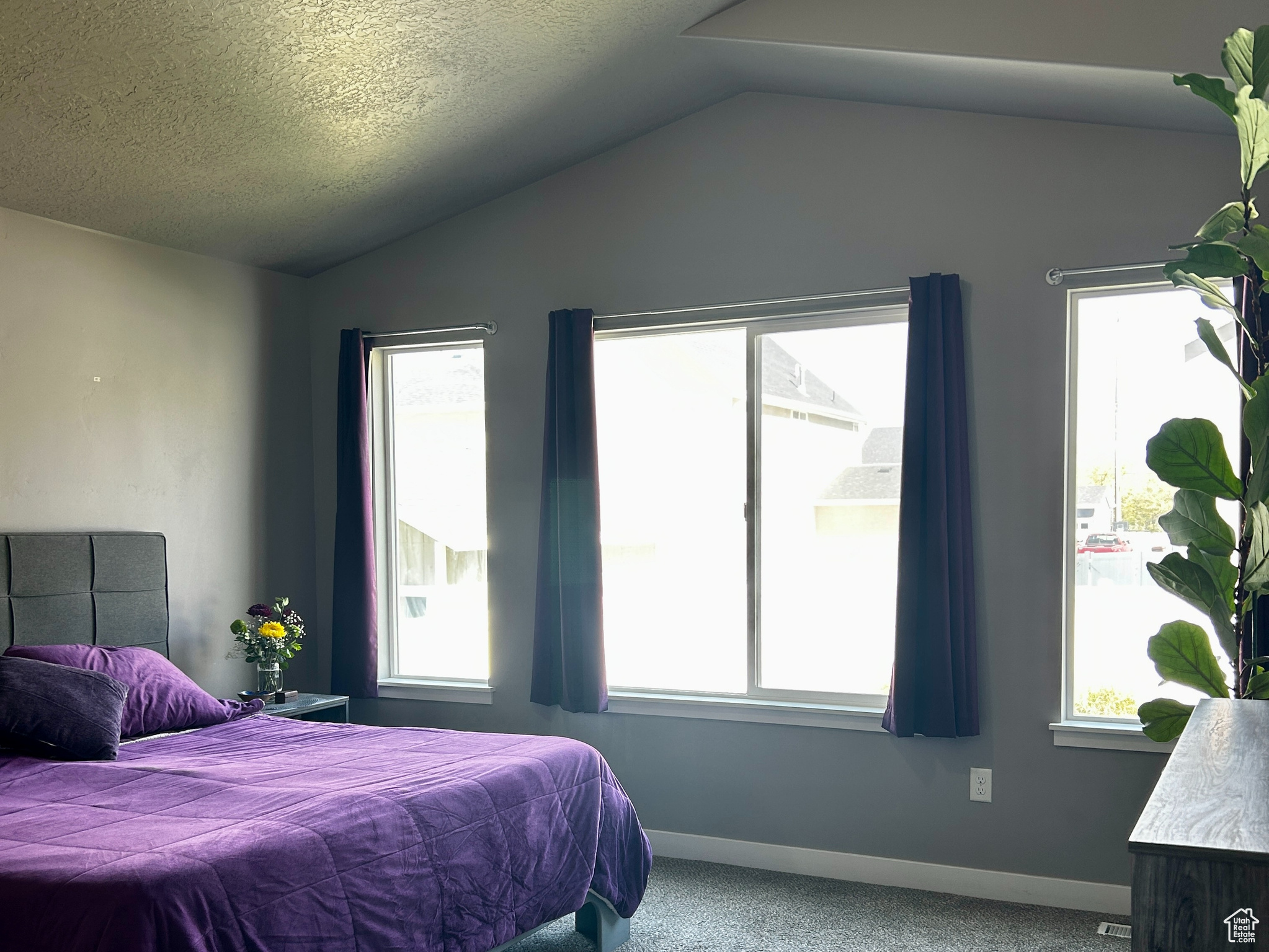 SADDLEBACK PASTURES LLC - Residential