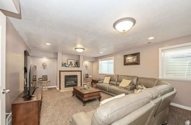 BLUE SPRUCE ESTATES - Residential