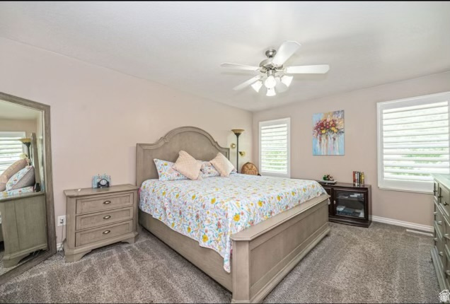 BLUE SPRUCE ESTATES - Residential
