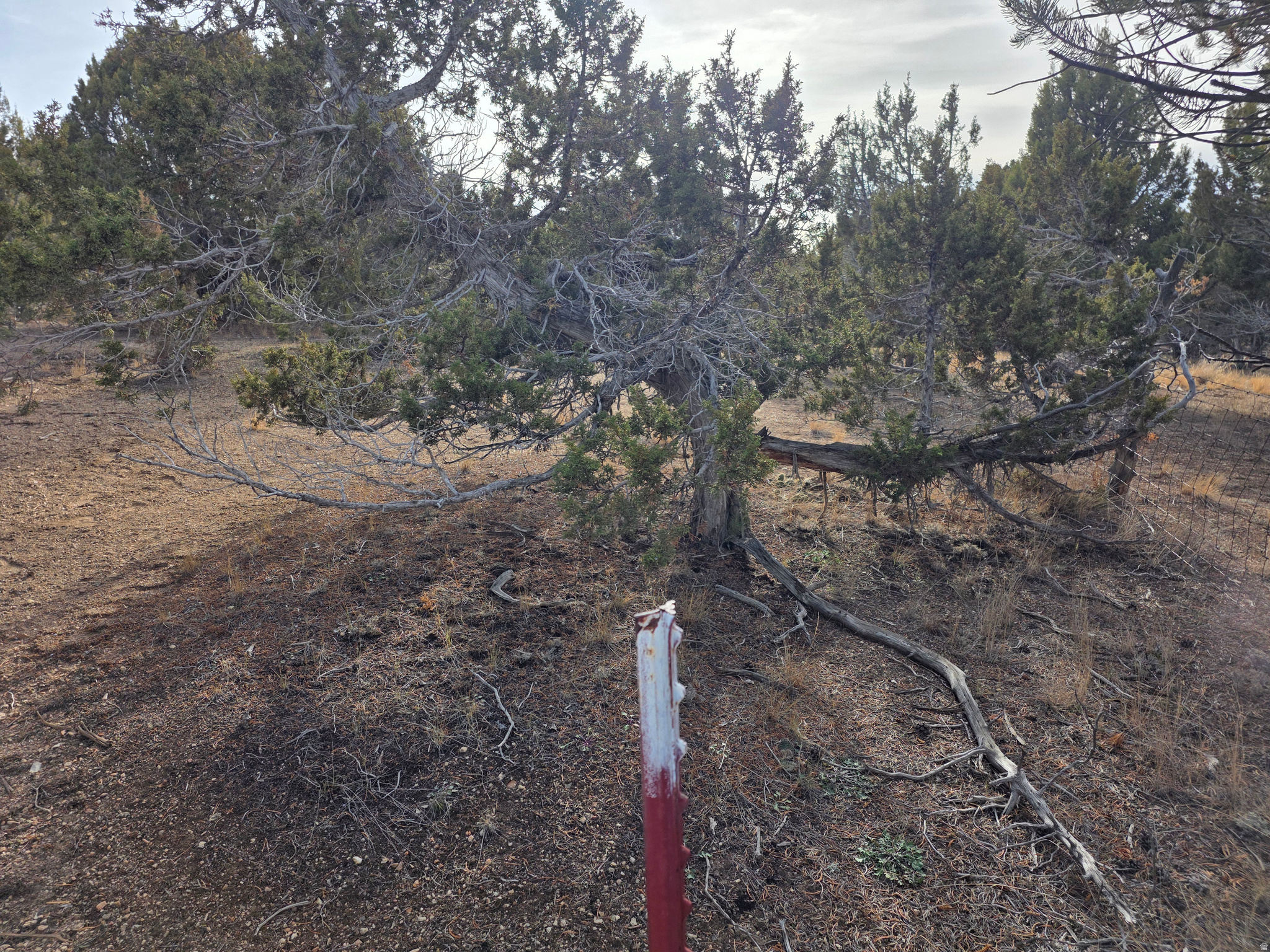 BLACKHAWK MOUNTAIN E - Residential