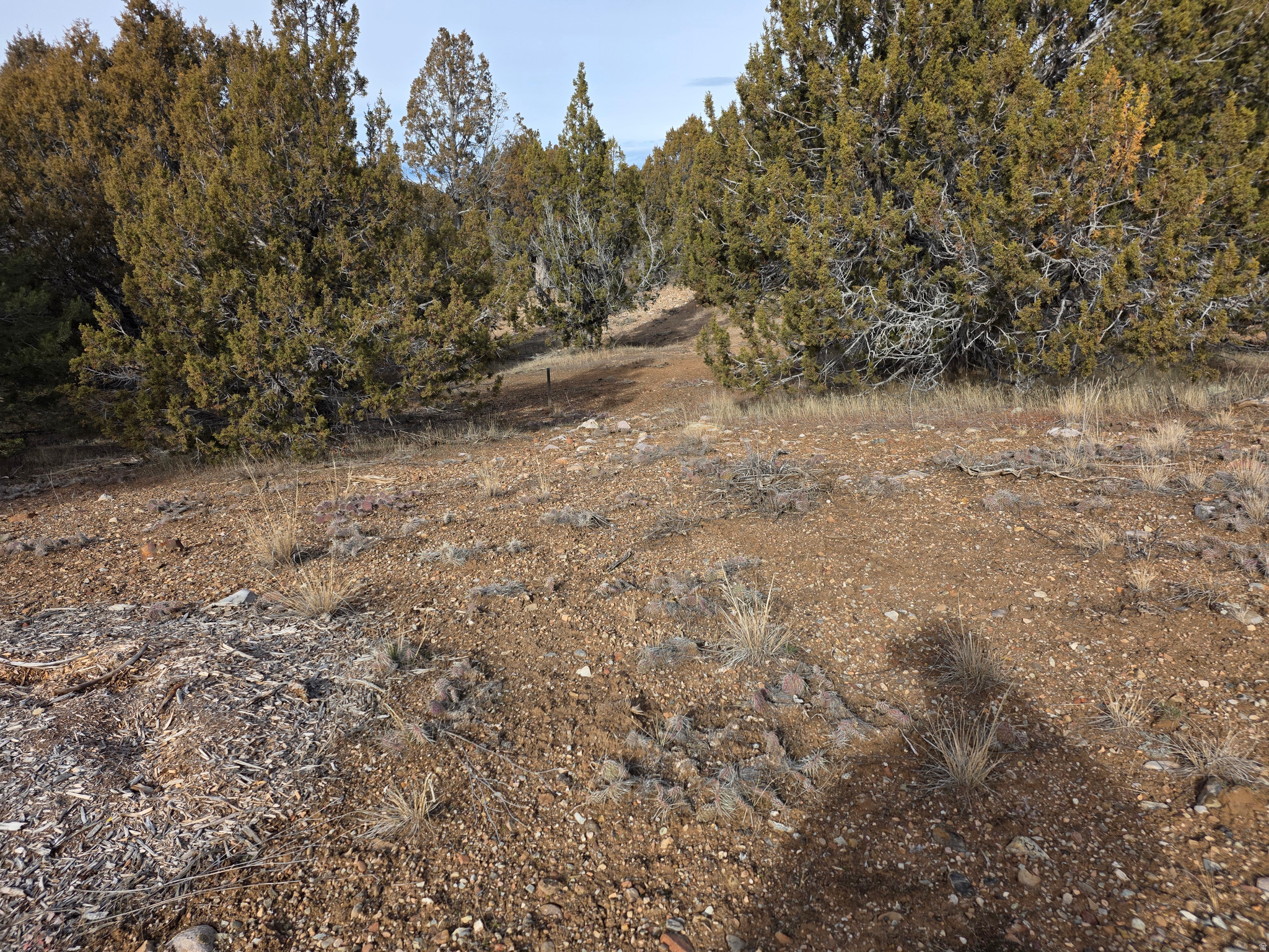 BLACKHAWK MOUNTAIN E - Residential