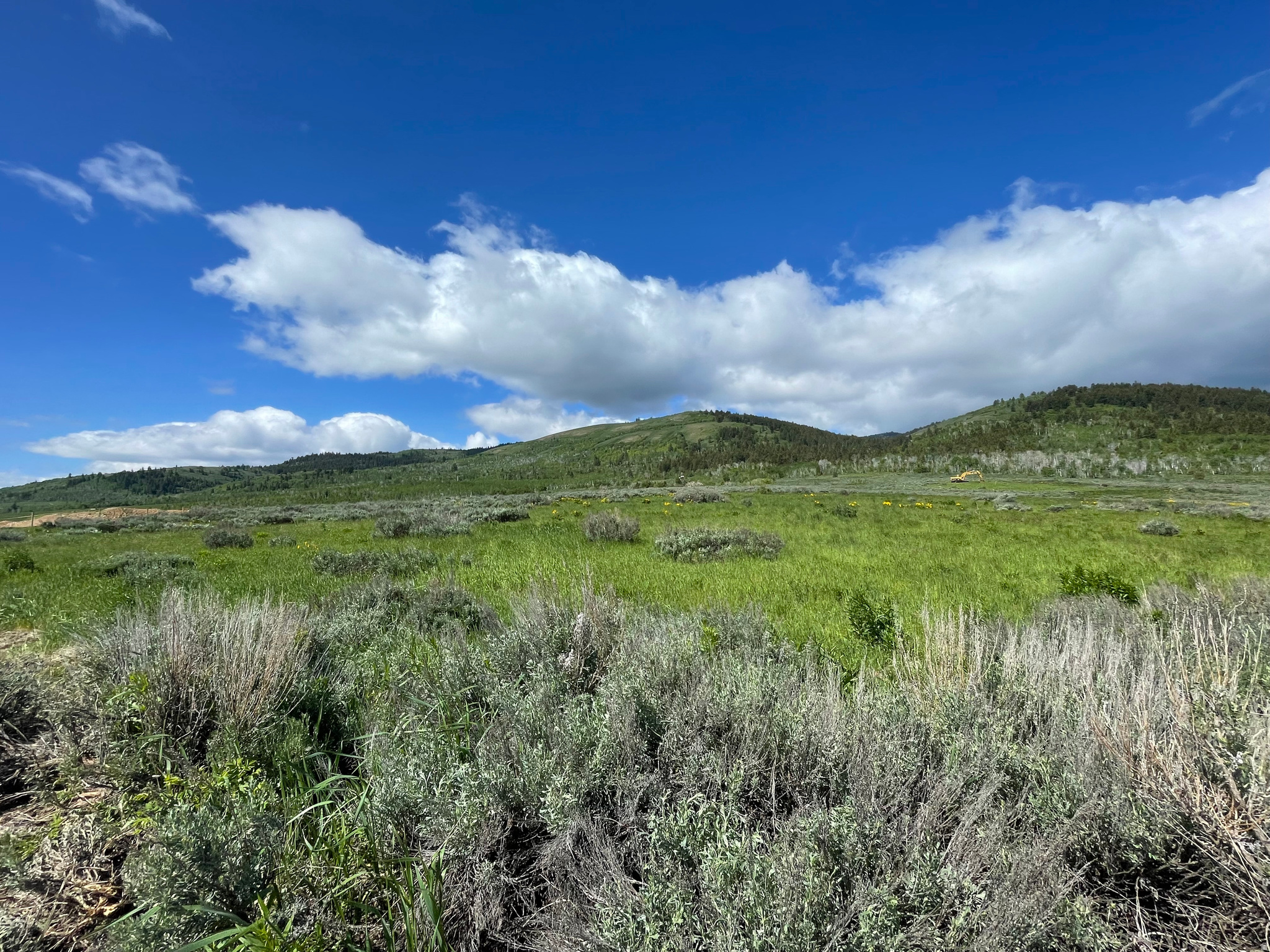 ROCKWELL RIDGE - Land