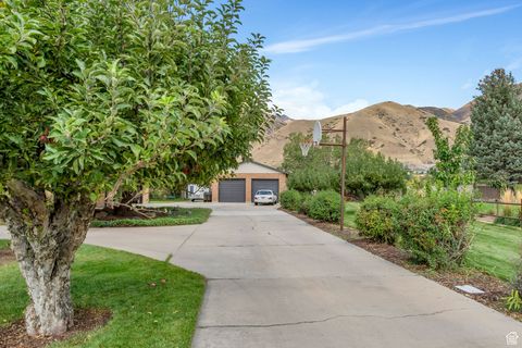 Tiny photo for 695 E 1700 N, Mapleton, UT 84664 (MLS # 2118604)