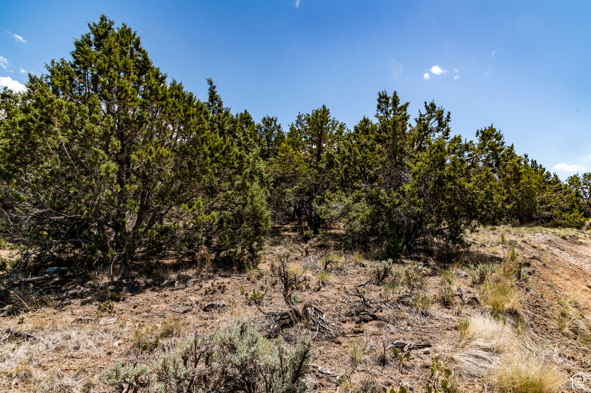 RED LEDGES - Land