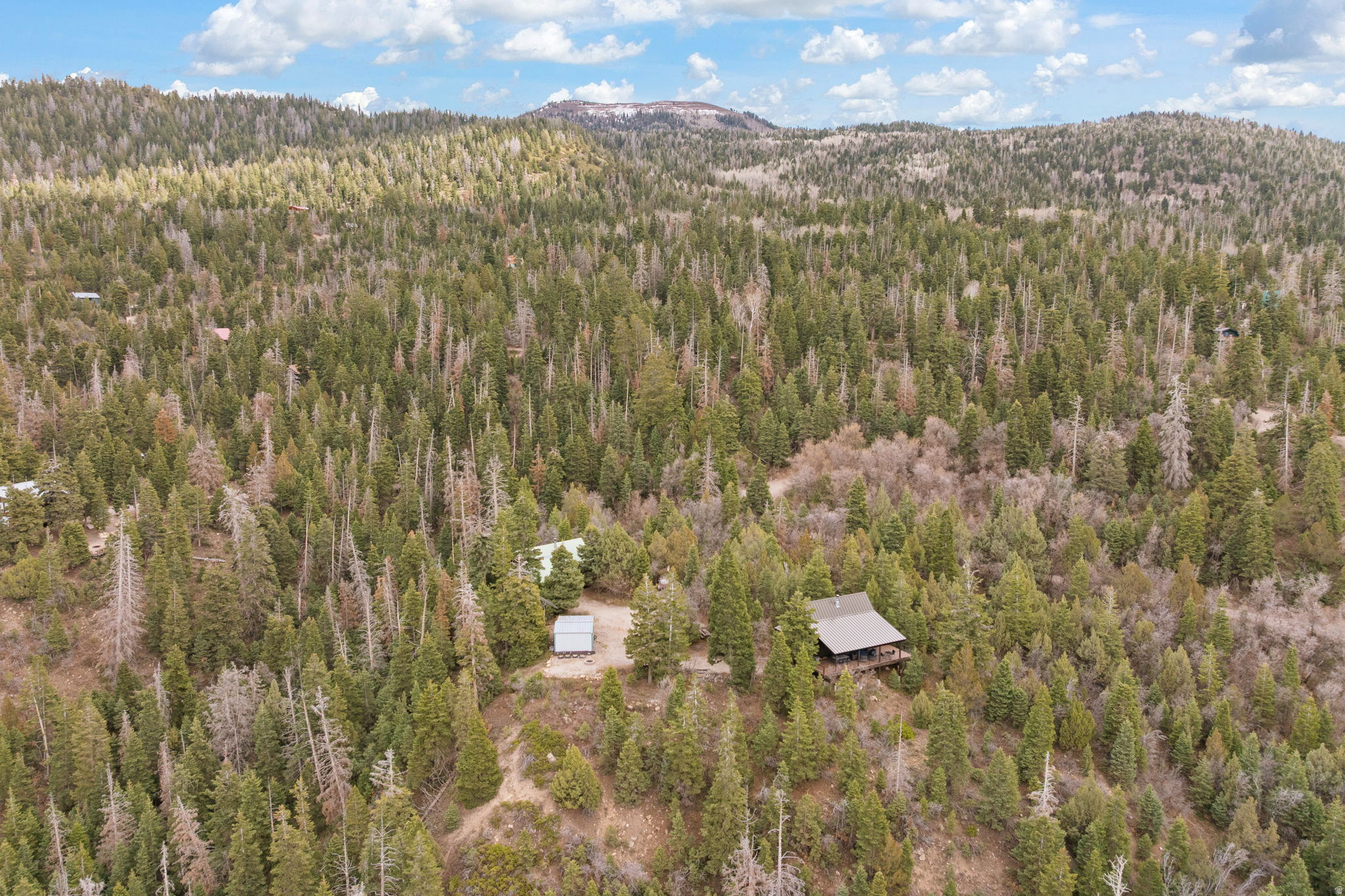 SPRING CITY RANCHEROS - Land