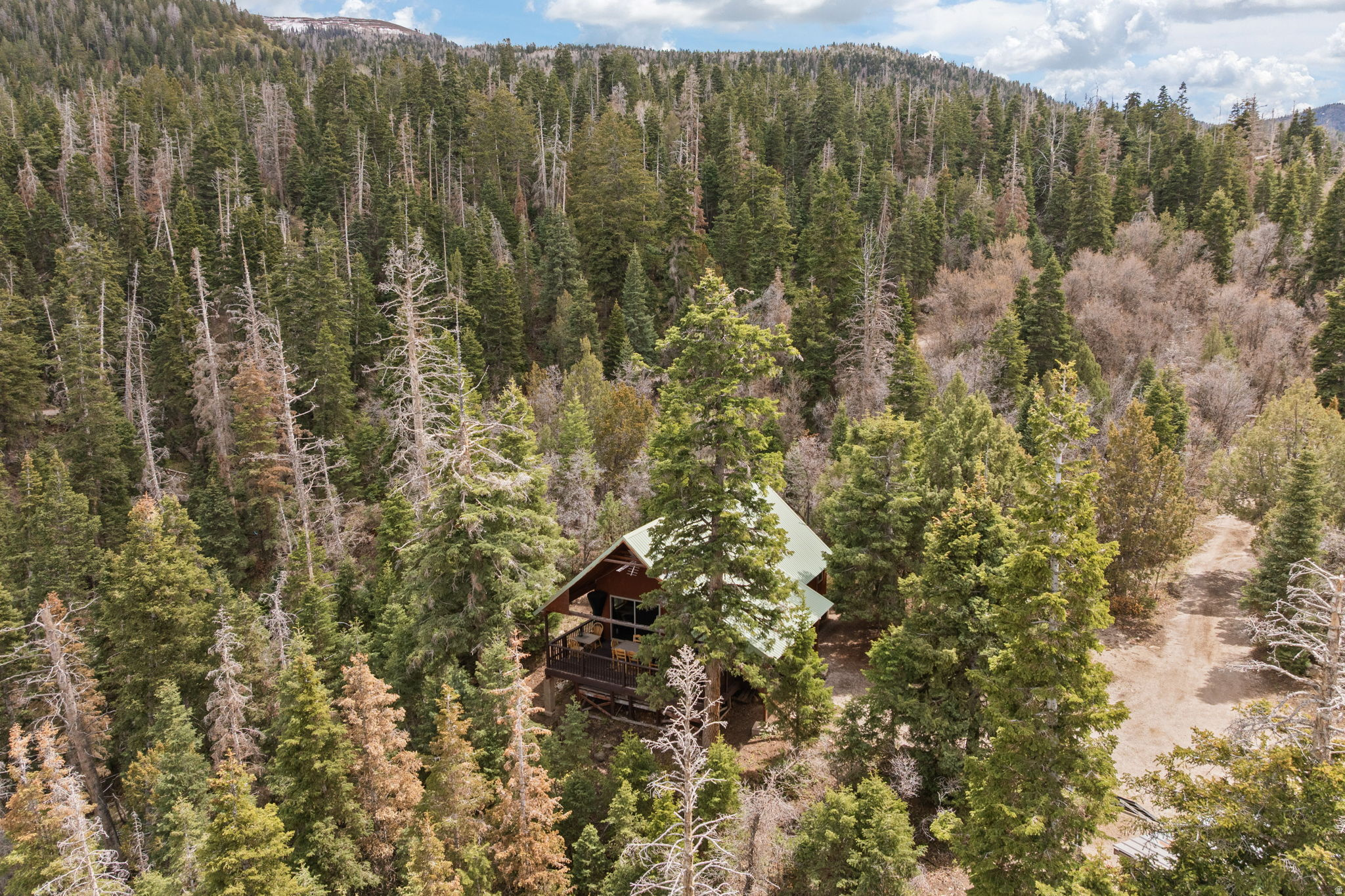 SPRING CITY RANCHEROS - Land