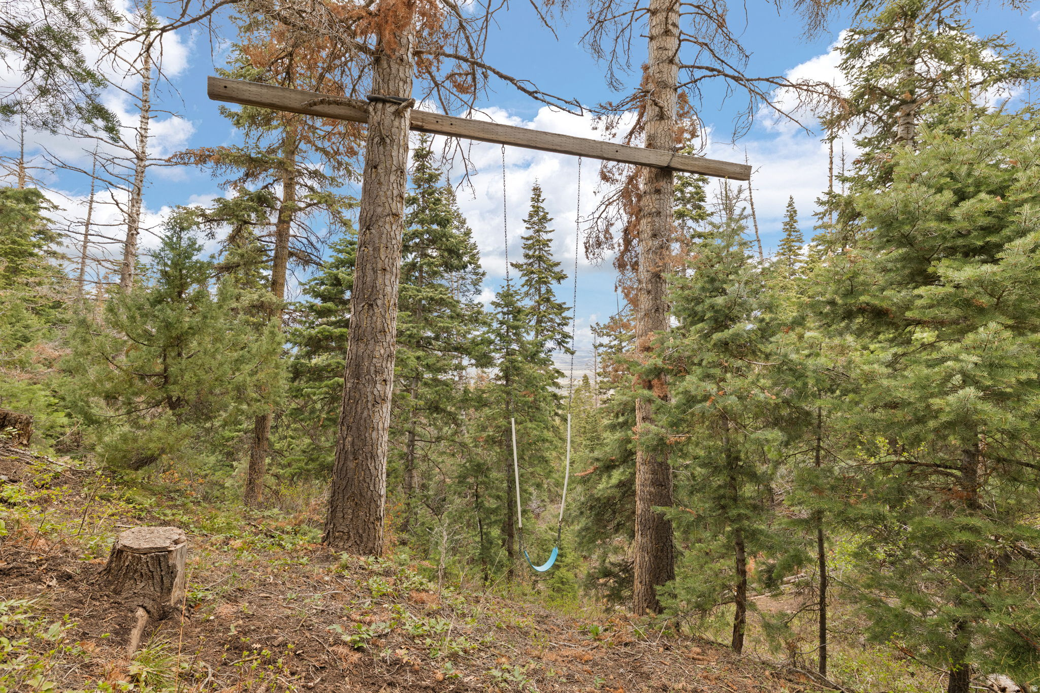 SPRING CITY RANCHEROS - Land