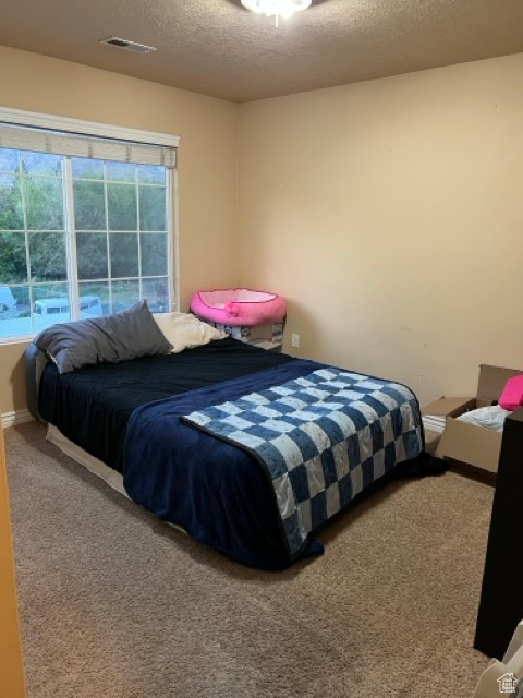 1195 W Dallin Dr #R301, Pleasant Grove, Utah image 15