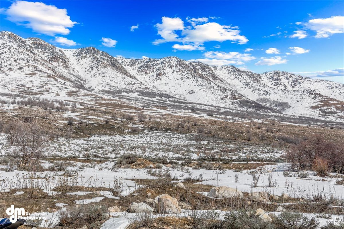 THE HIGHLANDS - Land