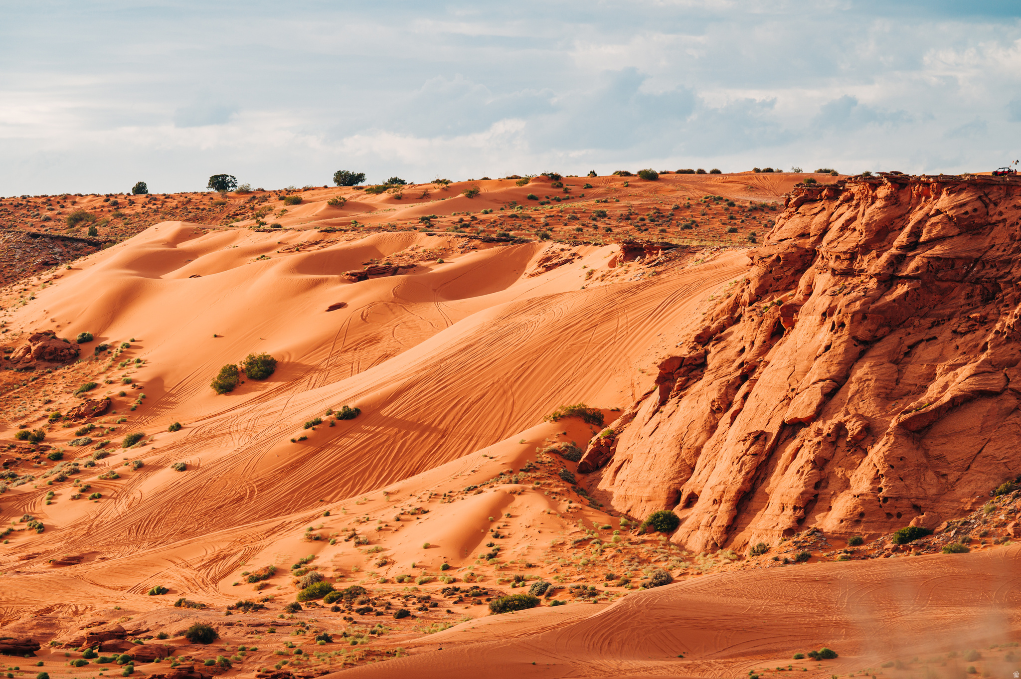 DIXIE SPRINGS C AMD & EXT - Residential