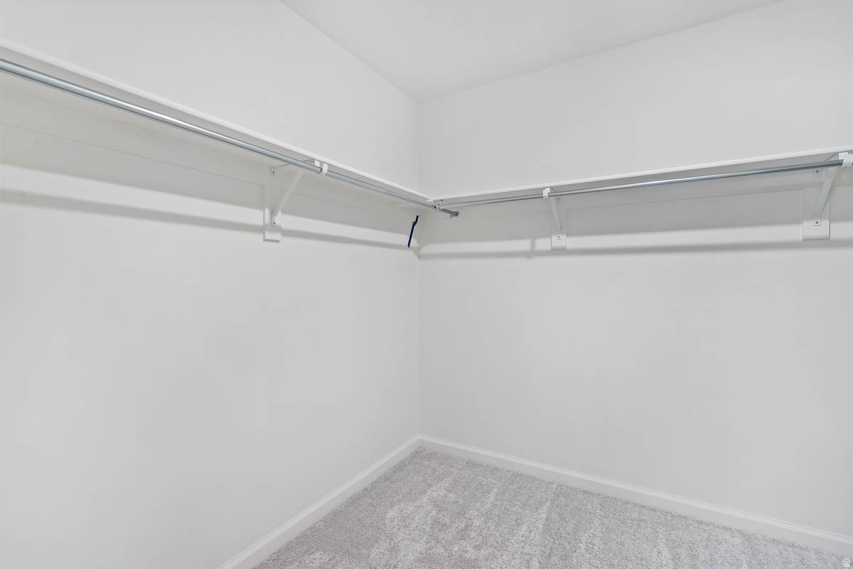 WANDER - Residential