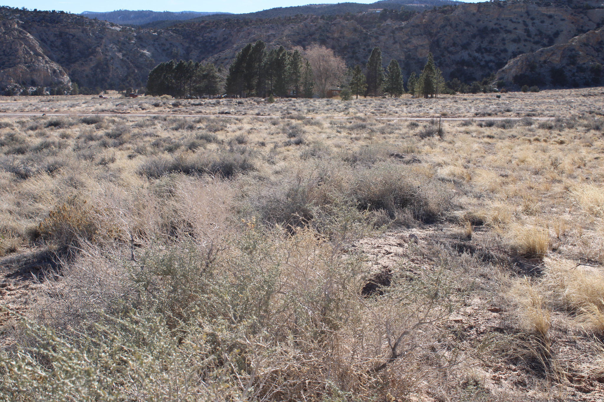 WHITE LEDGE ESTATES - Land