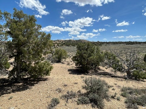 Vacant Land For Sale - Land<br/> Duchesne County, Duchesne, UT 84021