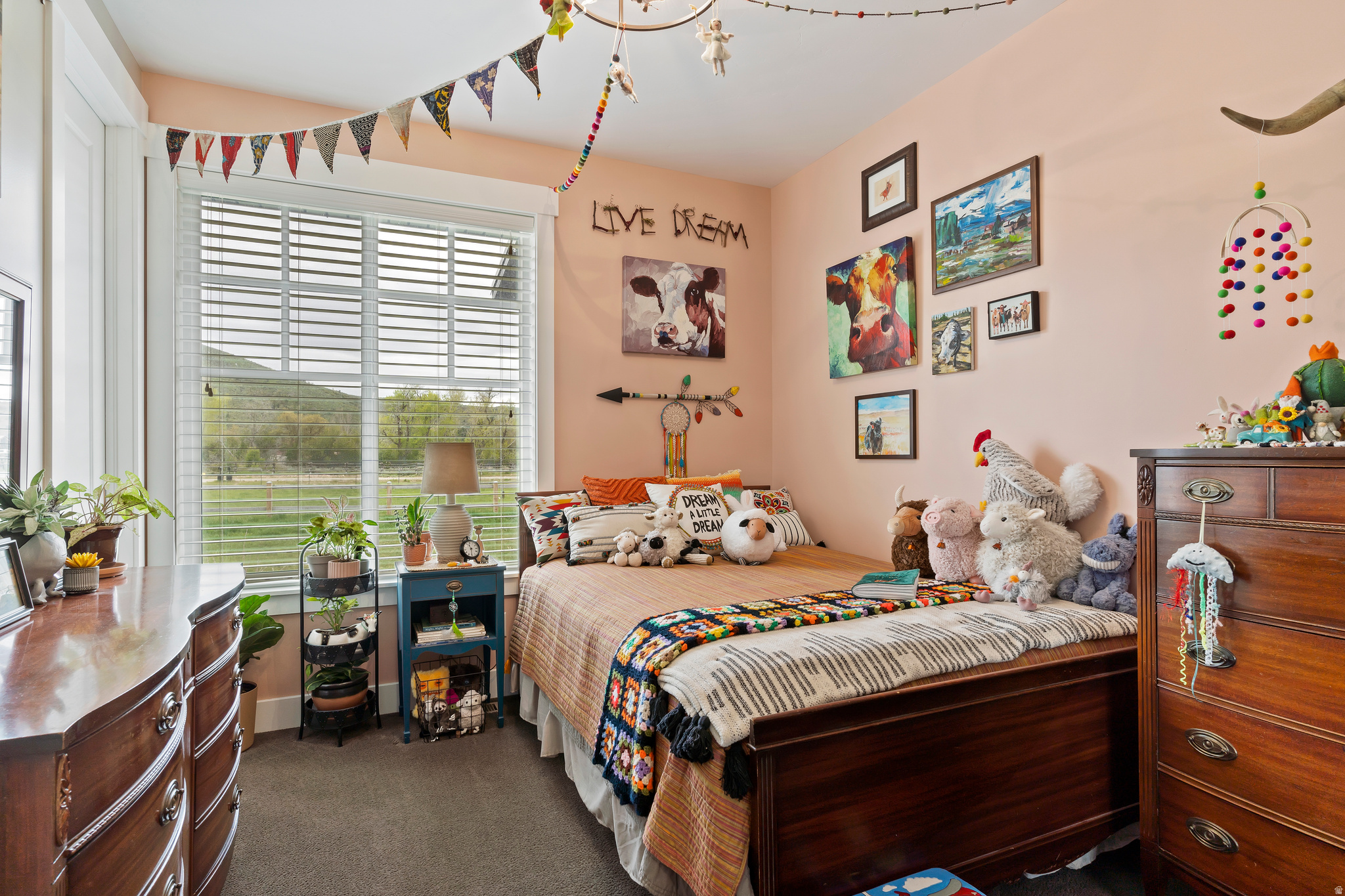 SOUTH FORK RANCHETTES - Residential