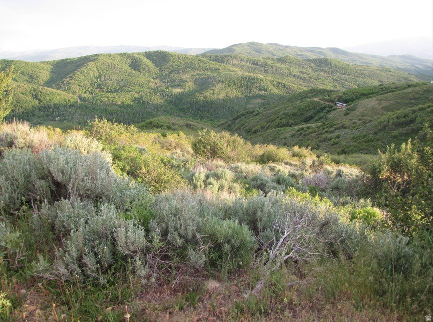 ECHO CREEK RANCHES - Land