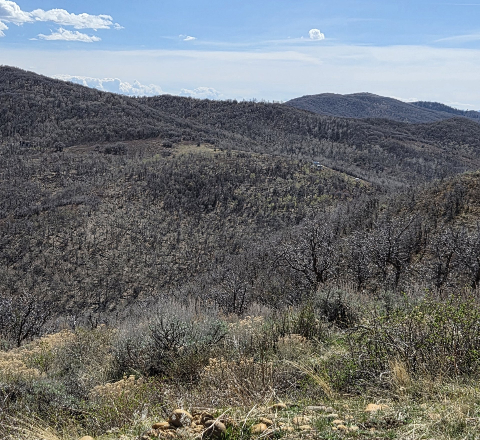 ECHO CREEK RANCHES - Land