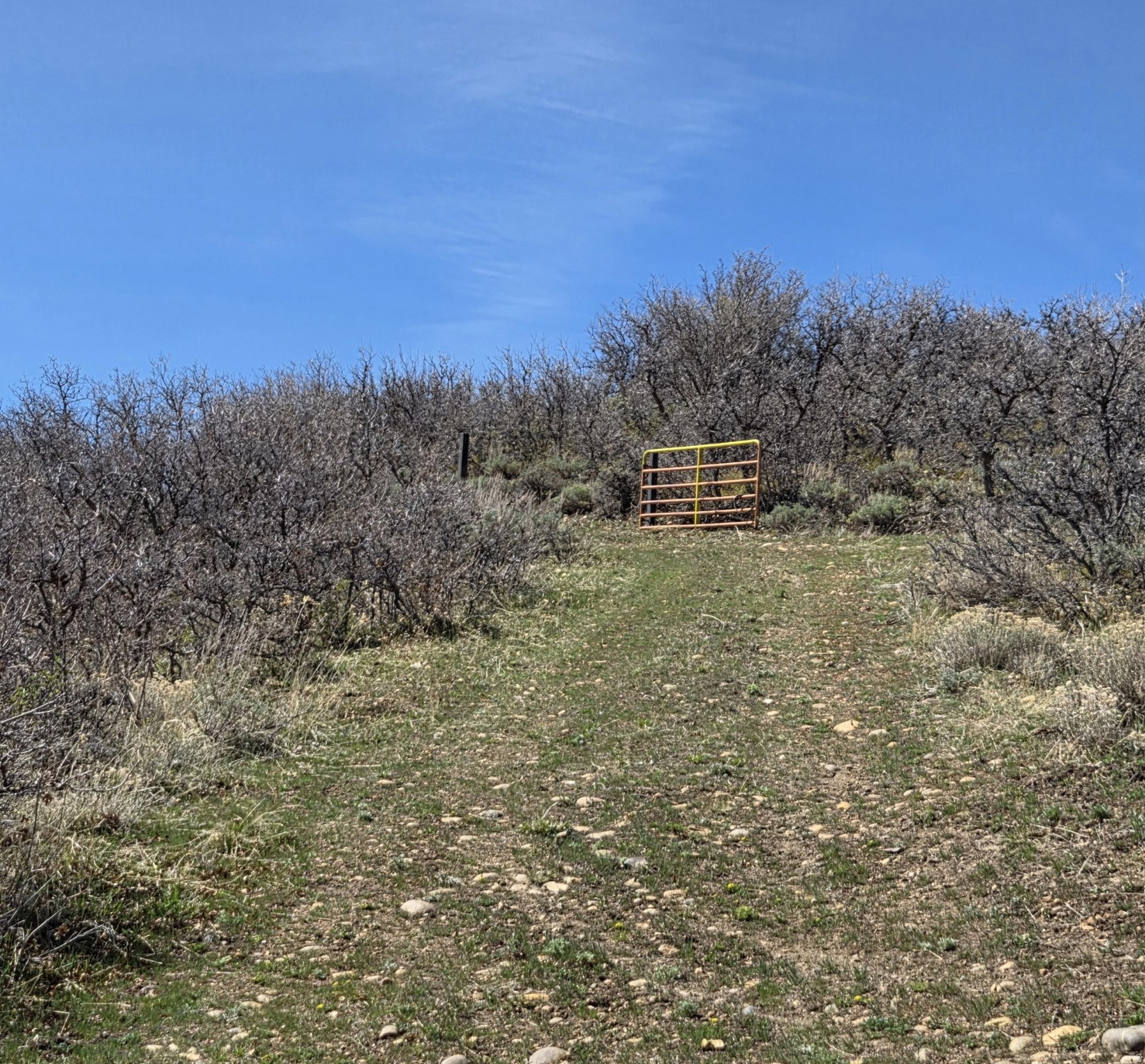 ECHO CREEK RANCHES - Land