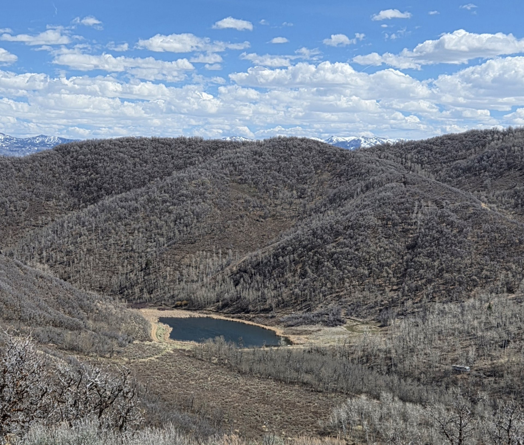 ECHO CREEK RANCHES - Land