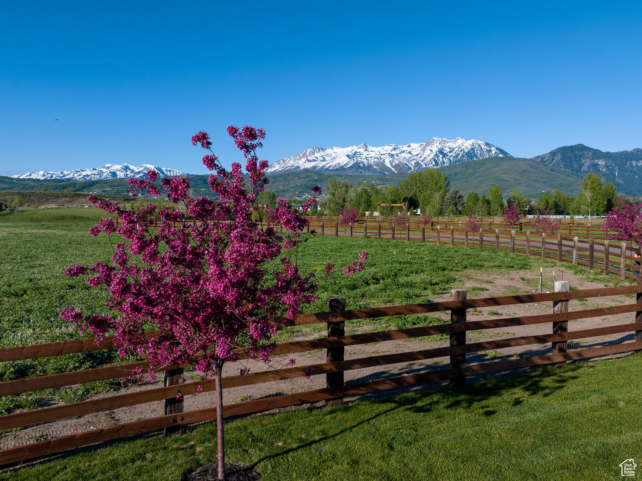 7461 E Sky Ranch Rd #4, Huntsville, Utah image 15
