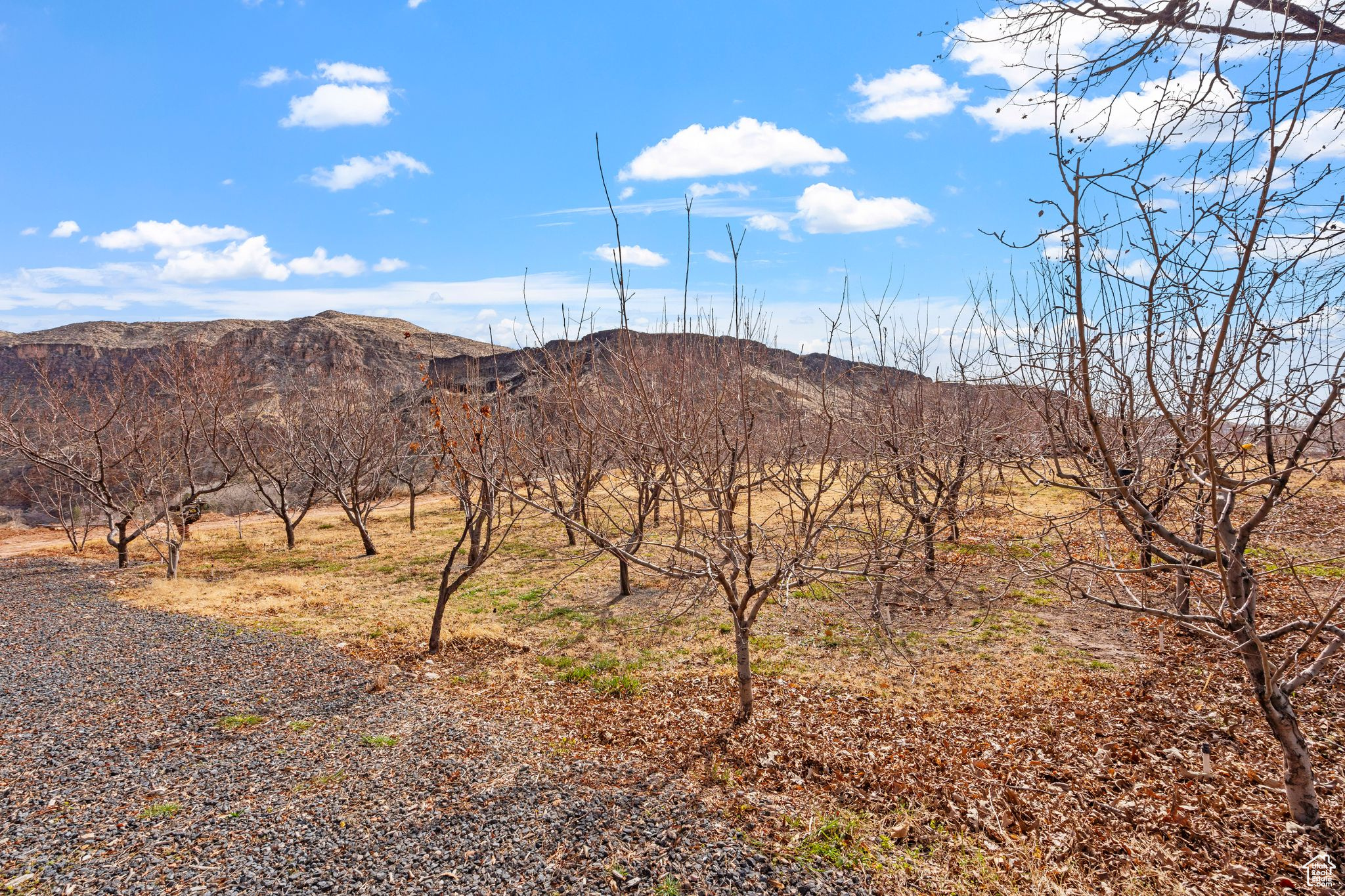 295 W 480, La Verkin, Utah image 22